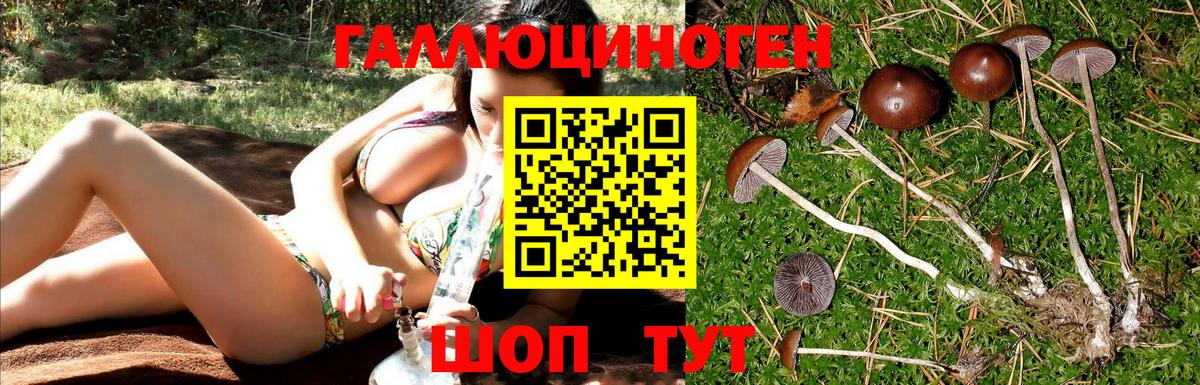 Псилоцибиновые грибы прущие грибы  Галлюциногенные грибы Cubensis  Ликино-Дулёво  Вход с VPN 